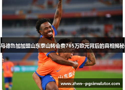 马德鲁加加盟山东泰山转会费765万欧元背后的真相揭秘